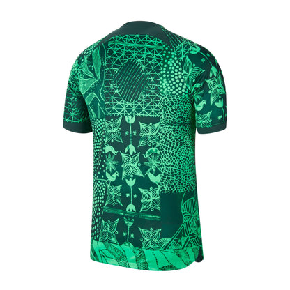 Nike Men's Nigeria 2022/23 Home Jersey Green Spark/Black